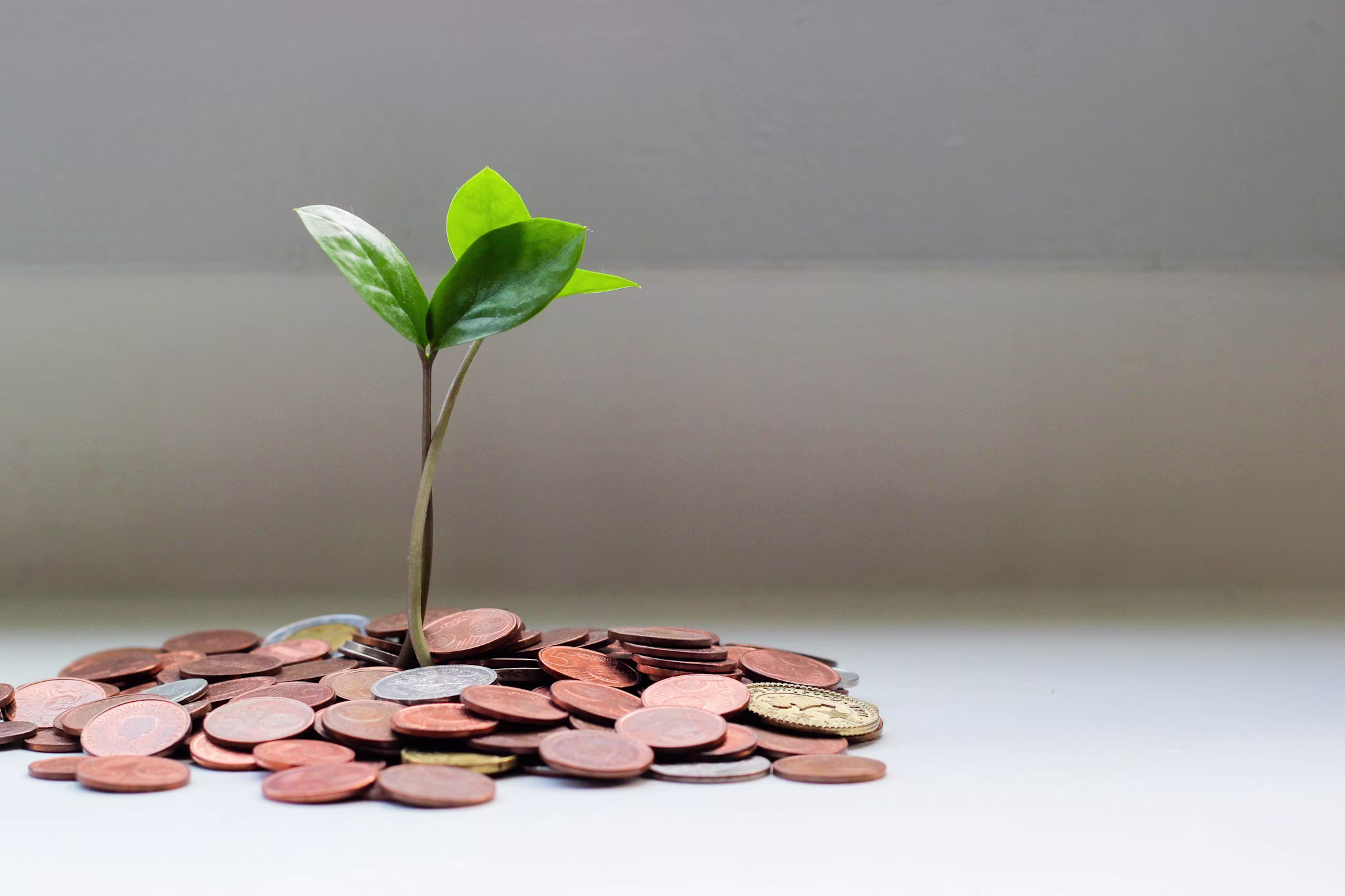 Aggressive asset growth visual